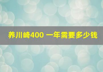 养川崎400 一年需要多少钱